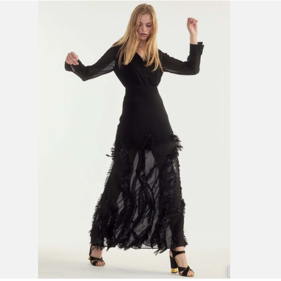 Cynthia Rowley Dusk Silk Metallic Fringe Georgette Embellished Dress Size 2 NWT - Picture 5 of 6